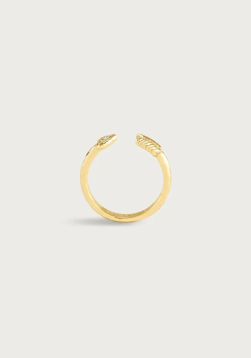 Heart Arrow Ring - Anabel Aram