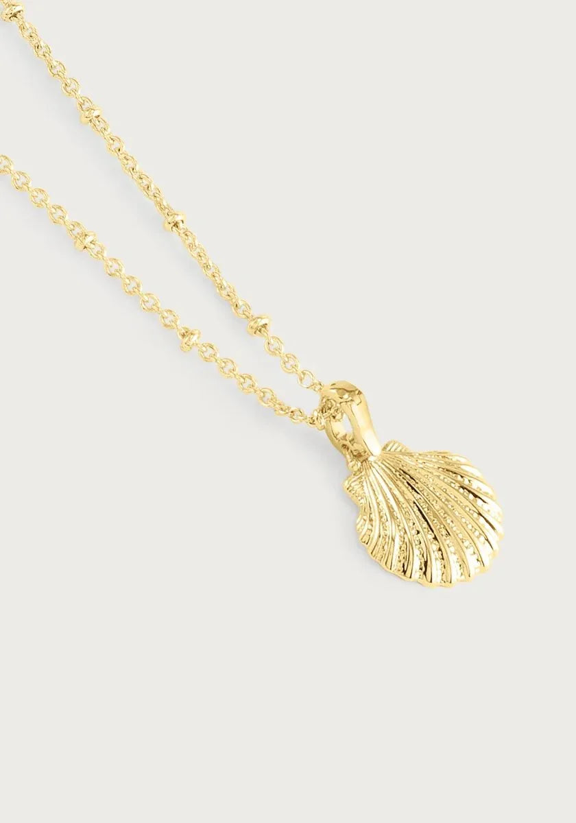 Scallop Shell Charm - Anabel Aram