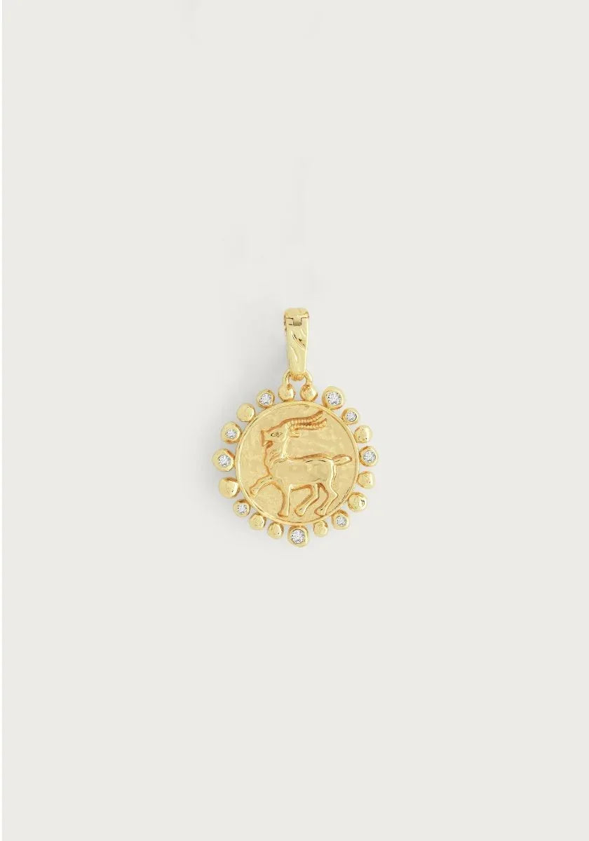 Zodiac Charm - Capricorn - Anabel Aram