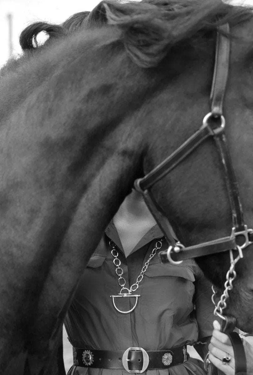 Cheval Bit Pendant, Silver - Anabel Aram